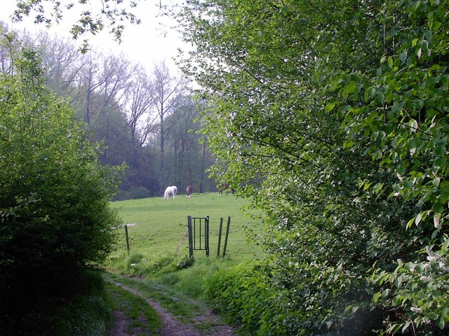 Click to see next photo